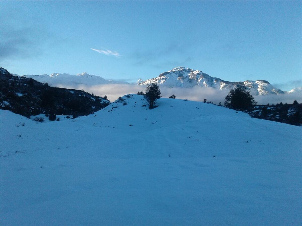 Turismo Rural Los Alpes ฟูตาเลวฟู ภายนอก รูปภาพ
