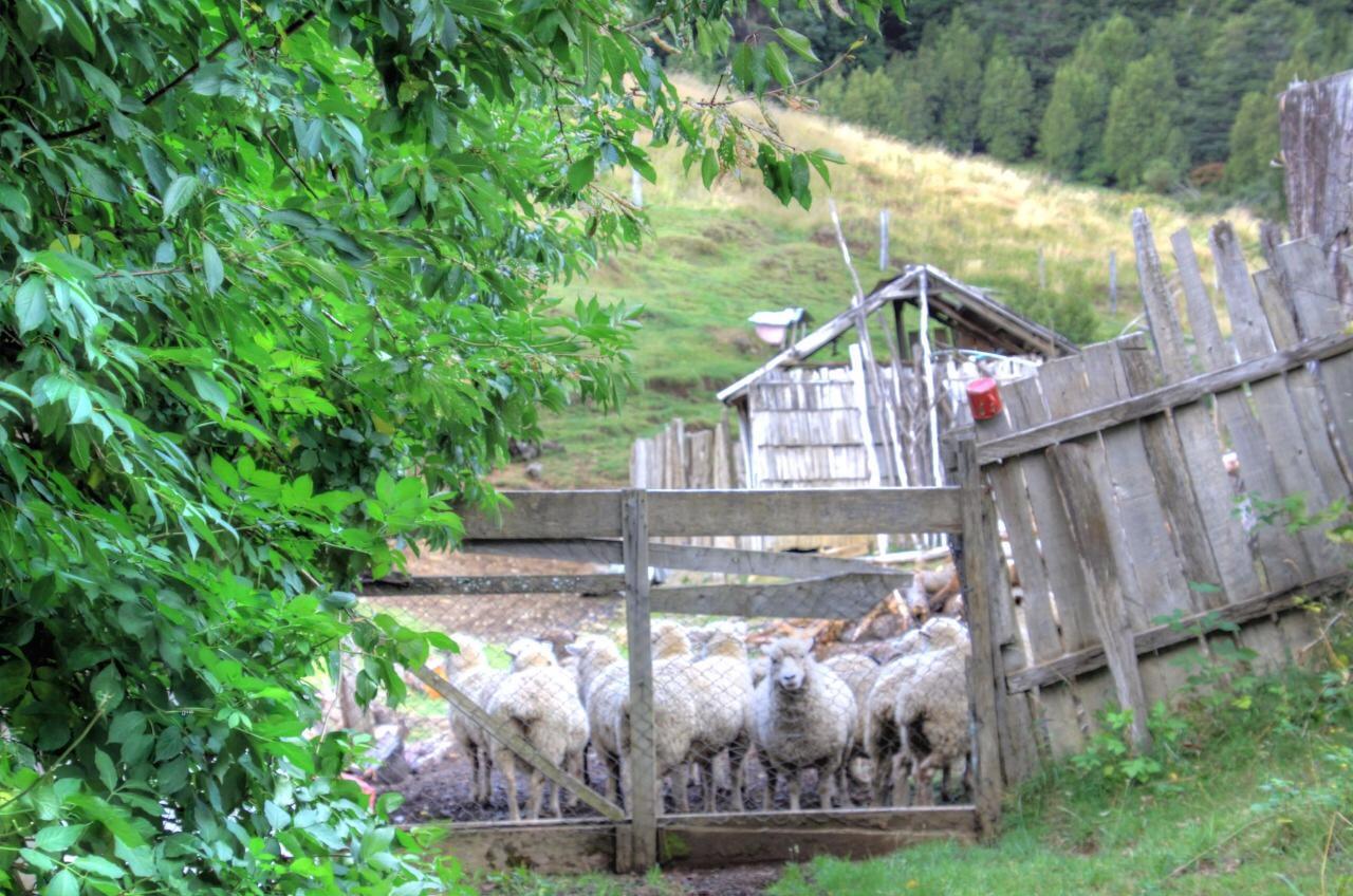 Turismo Rural Los Alpes ฟูตาเลวฟู ภายนอก รูปภาพ